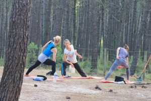 Yogagruppe im Pinienwald