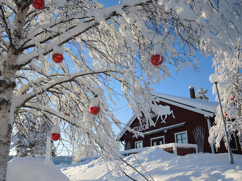 Winterwunderland in Schweden