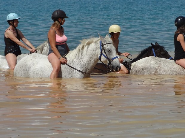 Reiter auf Pferden reiten durch den Lac de Ste. Croix. Das Wasser reicht bis zu den Knien.