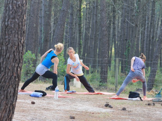 Yoga unter Pinien im Seaside Familiencamp