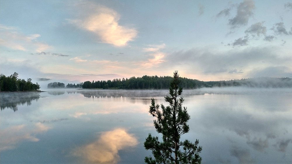 Landschaft in Gammelbyn in Schweden