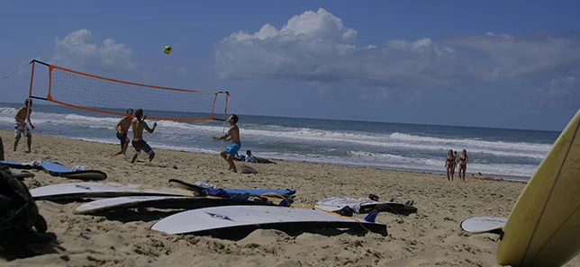 Teilnehmer beim Beachvolleyball direkt am Meer.